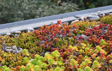 the cost of Lower Thurnham green roof installation