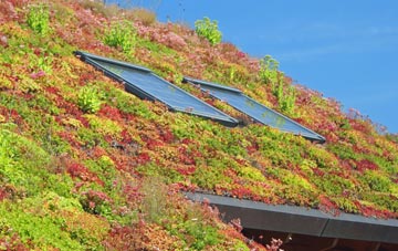 Lower Thurnham living roof systems