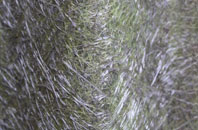 Lower Thurnham fibreglass roof work